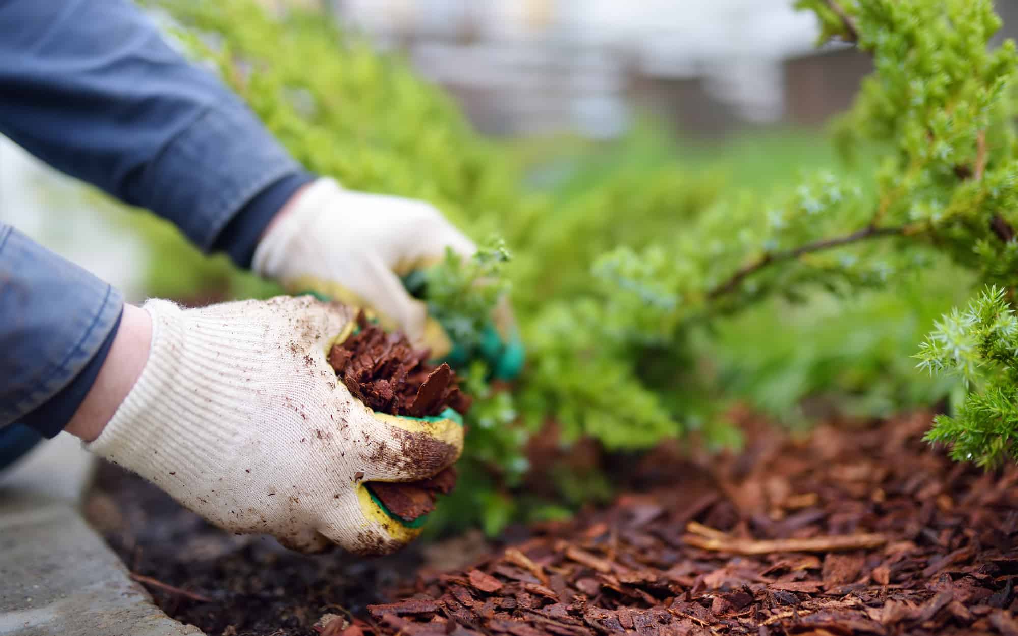 A-Guide-to-Sustainable-Landscaping-Practices- A-Guide-to-Sustainable-Landscaping-Practices-
