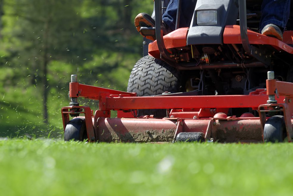lawn_mowing Golf ball with putter and corner hole on green artificial turf